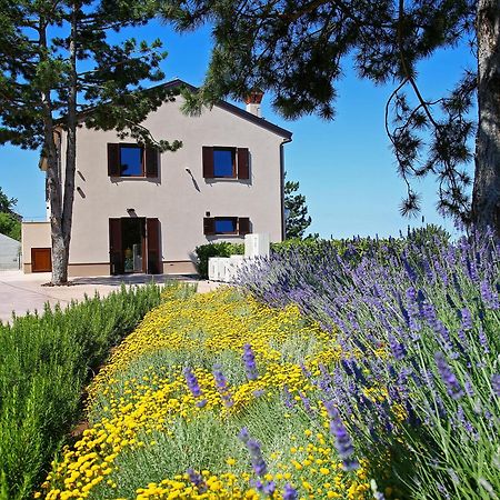 Luxury Villa Gradin Gračišče Exterior foto