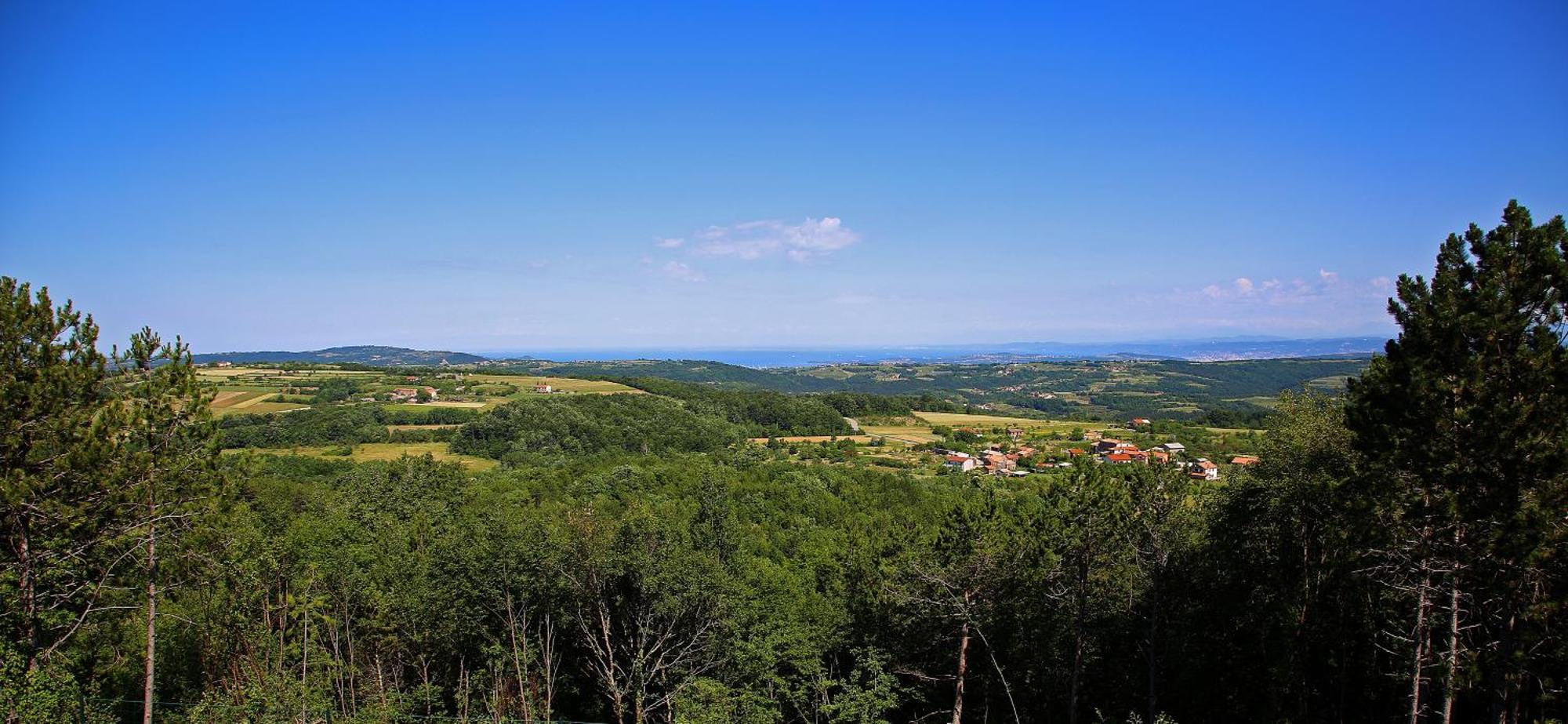 Luxury Villa Gradin Gračišče Exterior foto