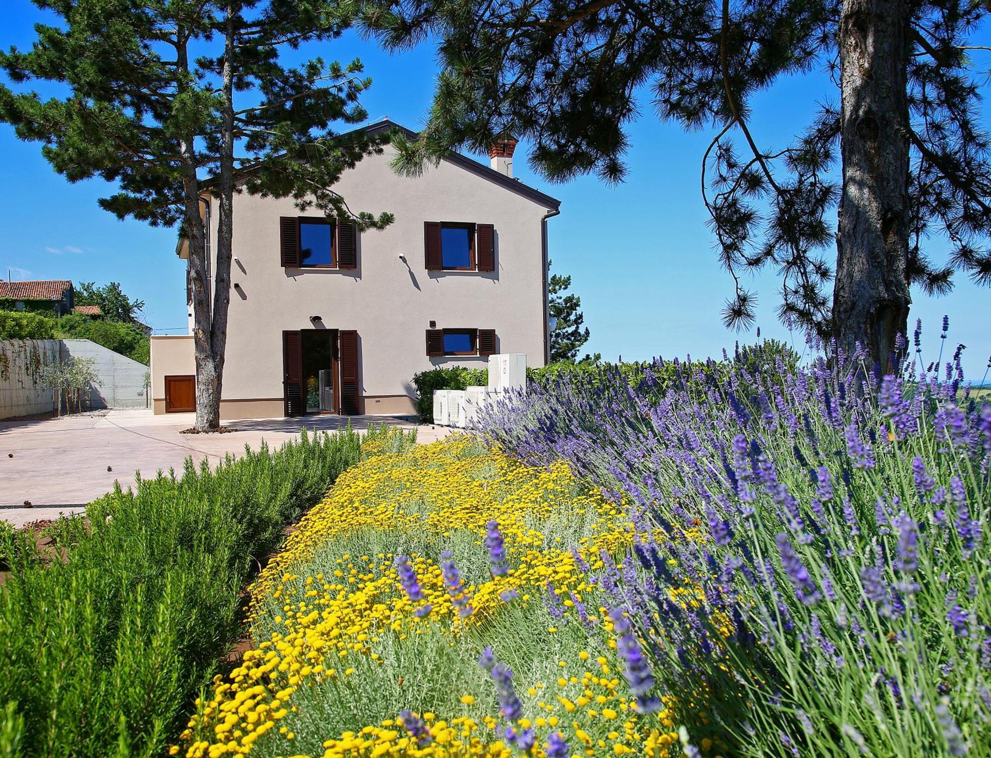 Luxury Villa Gradin Gračišče Exterior foto